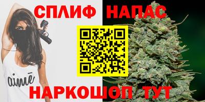 МДПВ Пенза
