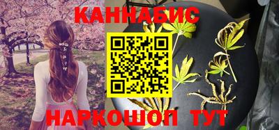 МДПВ Пенза