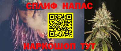 МДПВ Партизанск