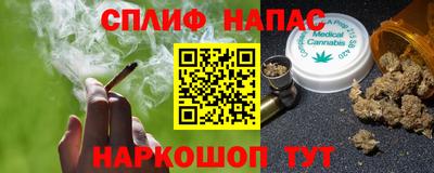 МДПВ Партизанск