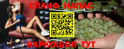 МДПВ Партизанск