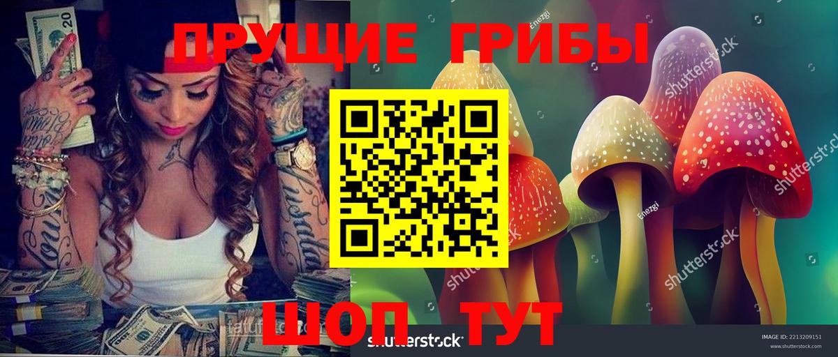 Псилоцибиновые грибы прущие грибы  Вход с VPN  Вольск  Псилоцибиновые грибы Psilocybine cubensis 