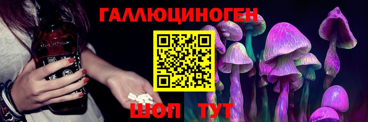 Псилоцибиновые грибы Cubensis Вольск
